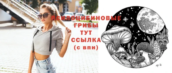 сатива Абинск