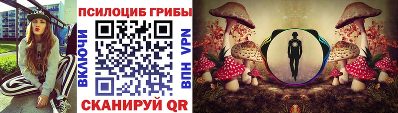 Псилоцибиновые грибы Cubensis Губкин